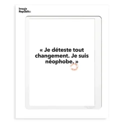 Affiches & Tableaux^Image Republic Affiche Loic Prigent Je Deteste Tout - 30 X 40 Cm