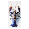Art Mural^Stigerwoods Décoration Murale Homard Bleu / Fond Blanc - 20 X 40 Cm