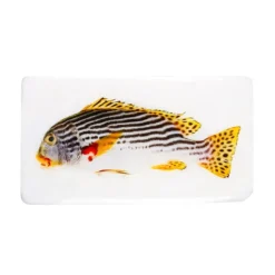 Art Mural^Stigerwoods Décoration Murale Poisson Gaterin Sur Fond Blanc - 35 Cm X 20 Cm