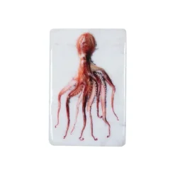 Art Mural^Stigerwoods Décoration Murale Poulpe Portugais Rouge Sur Fond Blanc - 20 X 29 Cm