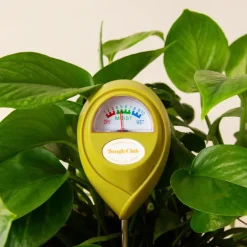 Pots & Jardinières^Jungle Club Humidimetre Vert