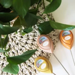 Pots & Jardinières^Jungle Club Humidimetre Vert