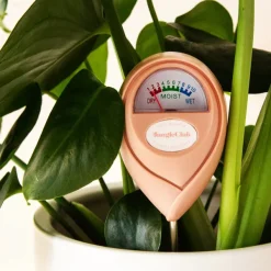 Pots & Jardinières^Jungle Club Humidimetre Vert