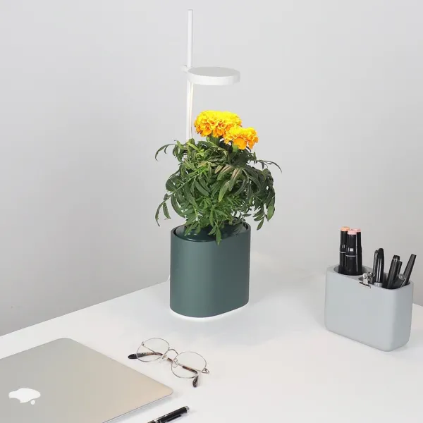 Pots & Jardinières^Prêt à pousser Jardin D'Interieur Connecte Nano Garden - Vert Foret