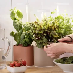 Pots & Jardinières^Prêt à pousser Jardin D'Interieur Connecte Nano Garden - Vert Foret