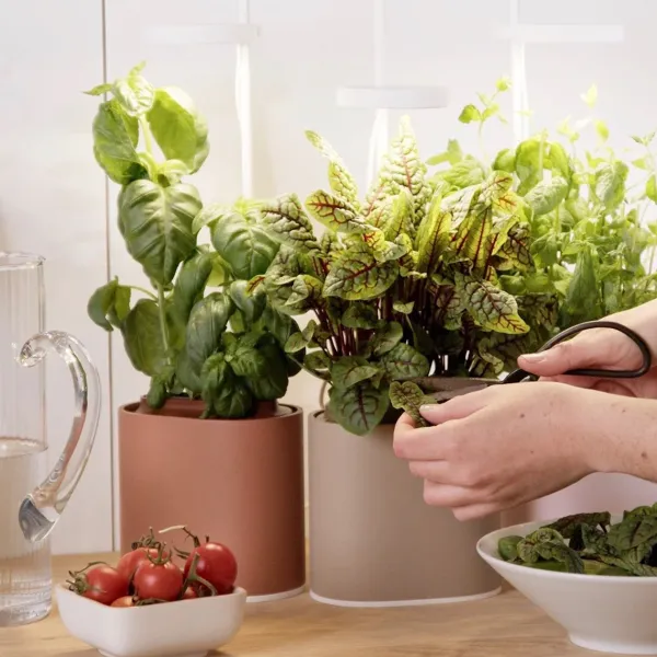 Pots & Jardinières^Prêt à pousser Jardin D'Interieur Connecte Nano Garden - Vert Foret