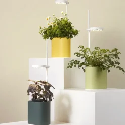 Pots & Jardinières^Prêt à pousser Jardin D'Interieur Connecte Nano Garden - Vert Foret