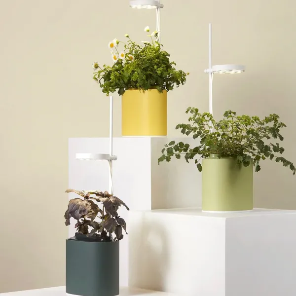 Pots & Jardinières^Prêt à pousser Jardin D'Interieur Connecte Nano Garden - Vert Foret