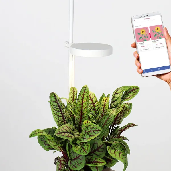 Pots & Jardinières^Prêt à pousser Jardin D'Interieur Connecte Nano Garden - Vert Foret