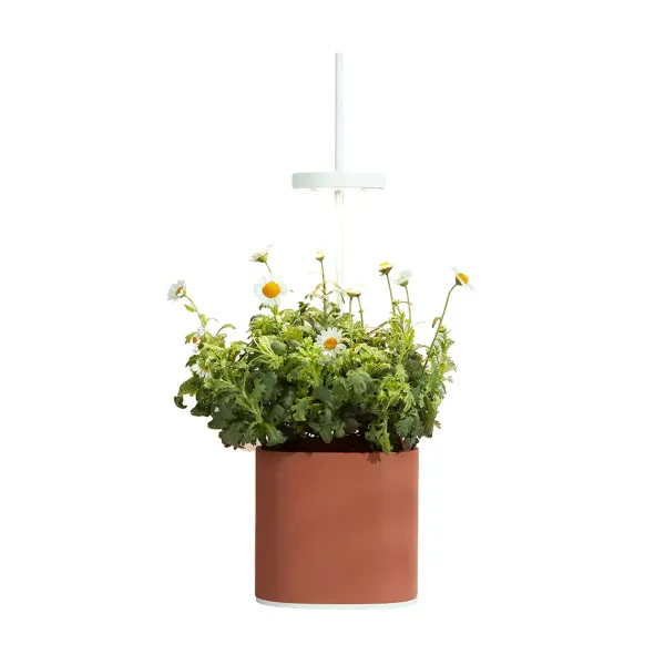 Pots & Jardinières^Prêt à pousser Jardin D'Interieur Connecte Nano Garden - Terracotta