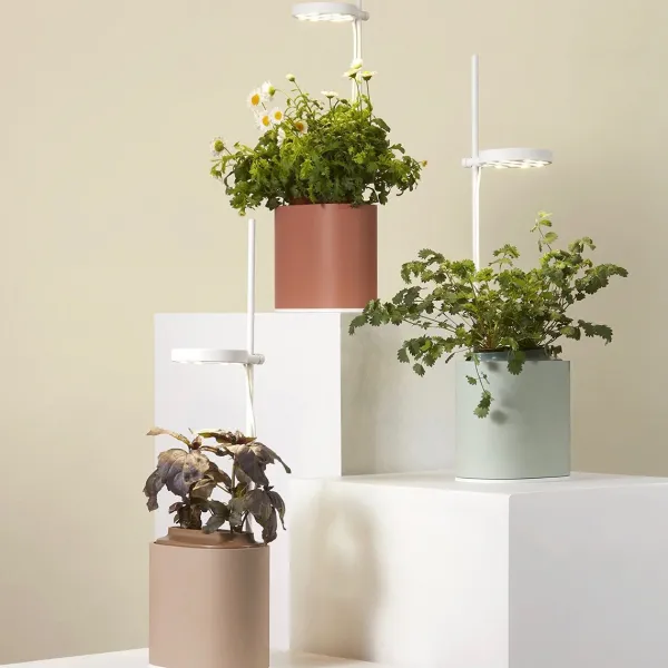 Pots & Jardinières^Prêt à pousser Jardin D'Interieur Connecte Nano Garden - Terracotta