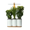 Pots & Jardinières^Prêt à pousser Jardin D'Interieur Lilo