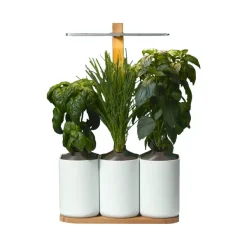 Pots & Jardinières^Prêt à pousser Jardin D'Interieur Lilo