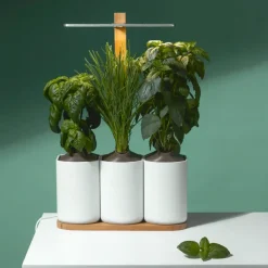 Pots & Jardinières^Prêt à pousser Jardin D'Interieur Lilo