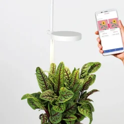 Pots & Jardinières^Prêt à pousser Jardin D'Interieur Lilo