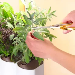 Pots & Jardinières^Prêt à pousser Jardin D'Interieur Lilo