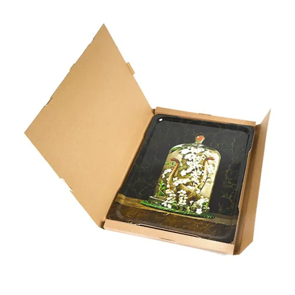 Vide-Poches^Gangzai Plateau Rectangle Dinocloche En Bouleau - 61 X 46 Cm