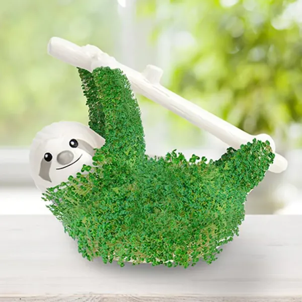 Pots & Jardinières^Sélectionné par Fleux Pot / Jardiniere Chia - Paresseux