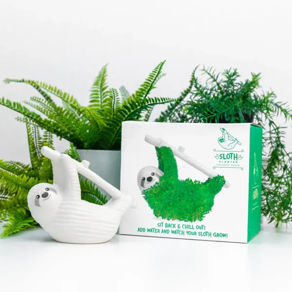 Pots & Jardinières^Sélectionné par Fleux Pot / Jardiniere Chia - Paresseux