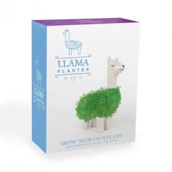 Pots & Jardinières^Sélectionné par Fleux Pot / Jardiniere Chia Lama