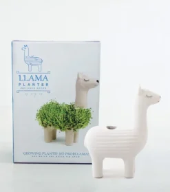 Pots & Jardinières^Sélectionné par Fleux Pot / Jardiniere Chia Lama