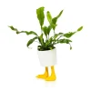 Pots & Jardinières^Sélectionné par Fleux Pot / Jardiniere Pieds Canards - Jaune & Blanc