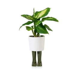 Pots & Jardinières^Sélectionné par Fleux Pot / Jardiniere Wellington Petit - Vert