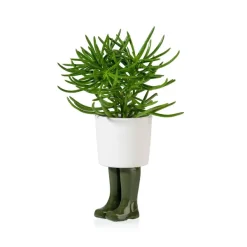 Pots & Jardinières^Sélectionné par Fleux Pot / Jardiniere Wellington Petit - Vert