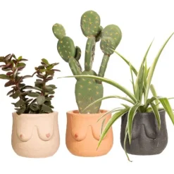 Pots & Jardinières^Sélectionné par Fleux Pot Boob - 8 X O 8 Cm - Couleur Aleatoire
