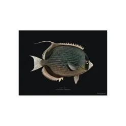 Sets De Table & Dessous De Verre^Pôdevache Set De Table Rectangle Poisson Mystery En Vinyle - 33 X 45 Cm - Noir