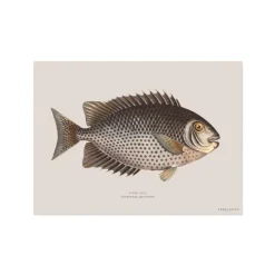 Sets De Table & Dessous De Verre^Pôdevache Set De Table Rectangle Poisson Chirala - 33 X 45 Cm