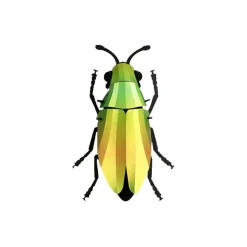Art Mural^Assembli Trophee Origami Coleoptere Mango Vert