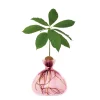 Vases^Ilex Studio Vase En Verre Pour Avocat Rose