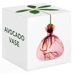 Vases^Ilex Studio Vase En Verre Pour Avocat Rose