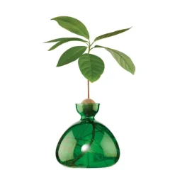 Vases^Ilex Studio Vase En Verre Pour Avocat Rose