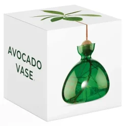 Vases^Ilex Studio Vase En Verre Pour Avocat Rose