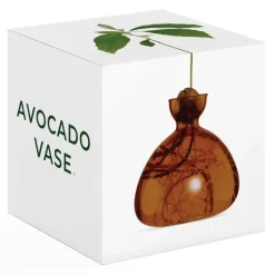 Vases^Ilex Studio Vase En Verre Pour Avocat Rose